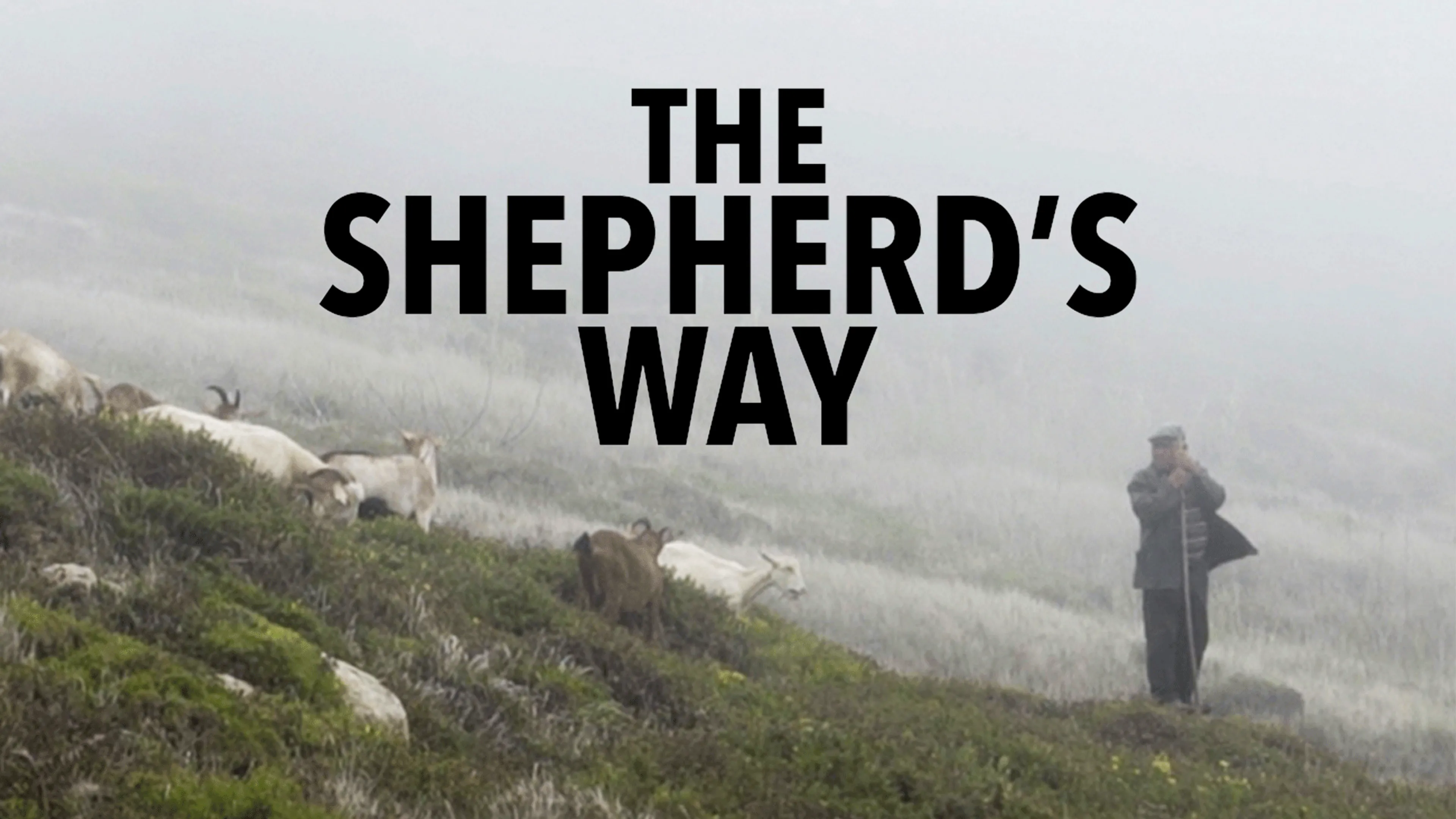 The Shepherd's Way poster